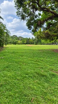 3.37-HECTARE FARM LAND IN CAPIRA — FROM $5 PER M², Capira, Panamá Oeste — camino que conduce a Nueva Arenosa y La Florida